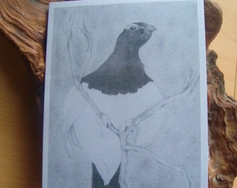 Könnte beinhalten: Eine Schwarzweiß-Bleistiftzeichnung eines Vogels, der auf einem Ast sitzt. Der Vogel hat einen weißen Körper und einen schwarzen Kopf und Flügel. Der Hintergrund ist hellgrau.