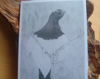 Blank Notecard, Ptarmigan, with envelope