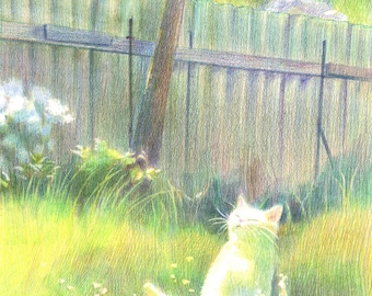 Cat Art Print: Whimsical Colored Pencil Illustration - Breathing in the Light