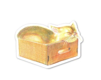 Op de afbeelding: Een gouden kat ligt te slapen in een kleine houten kist. De vacht van de kat is een mix van goud- en bruintinten, en de ogen zijn gesloten. De kist is lichtbruin met een handvat aan de zijkant.