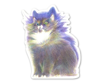 以下が含まれることがあります： 驚いた表情のふわふわした猫の、詳細なイラストが描かれたステッカー。 猫は濃い色の毛並み、白い胸、緑色の目をしています。 アートワークは手描きの色鉛筆スタイルです。