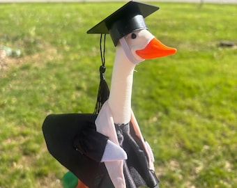 Silly Goose University Graduation Dress