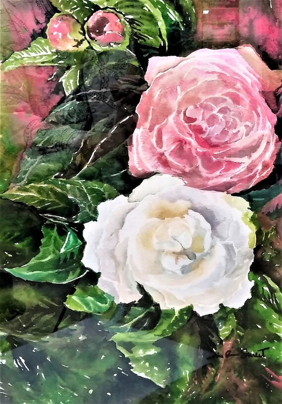 Flores de camelia camelia rosa camelia blanca pintura de - Etsy México