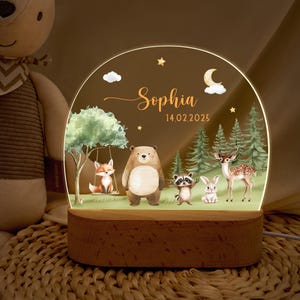 Luminária noturna personalizada para crianças, luminária para bebês, luminária de presente para bebês, abajur infantil, luminária de cabeceira, luminária noturna para crianças, presente de Páscoa