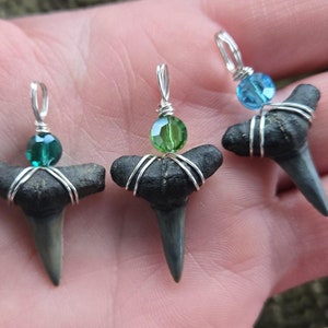 Shark tooth necklace - classic and trendy. Lemon Shark teeth. Real authentic fossilized. Great gift for men, women or kids.