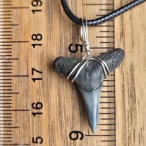 Shark Fossil Tooth Necklace | Silver Wire Wrapped | Handmade Florida Fossil Jewelry on Black Cord