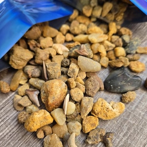 May include: A collection of various small rocks and pebbles, in shades of tan, brown, and gray, spilling from a blue bag. Some rocks have a smooth texture, while others are rough. A few small fossilized teeth are visible.