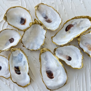 May include: An overhead shot displays several oyster shells with white interiors and gold-painted edges. The shells are arranged on a textured white surface. Each shell has a dark brown spot in the center.