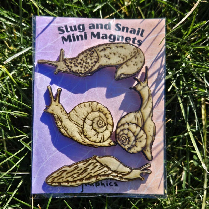 Snail Magnets Snail & Slug Mini Magnets – Hand-painted or Natural Wood - Etsy