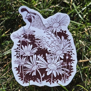 3 inch natuursticker Daisy Quail