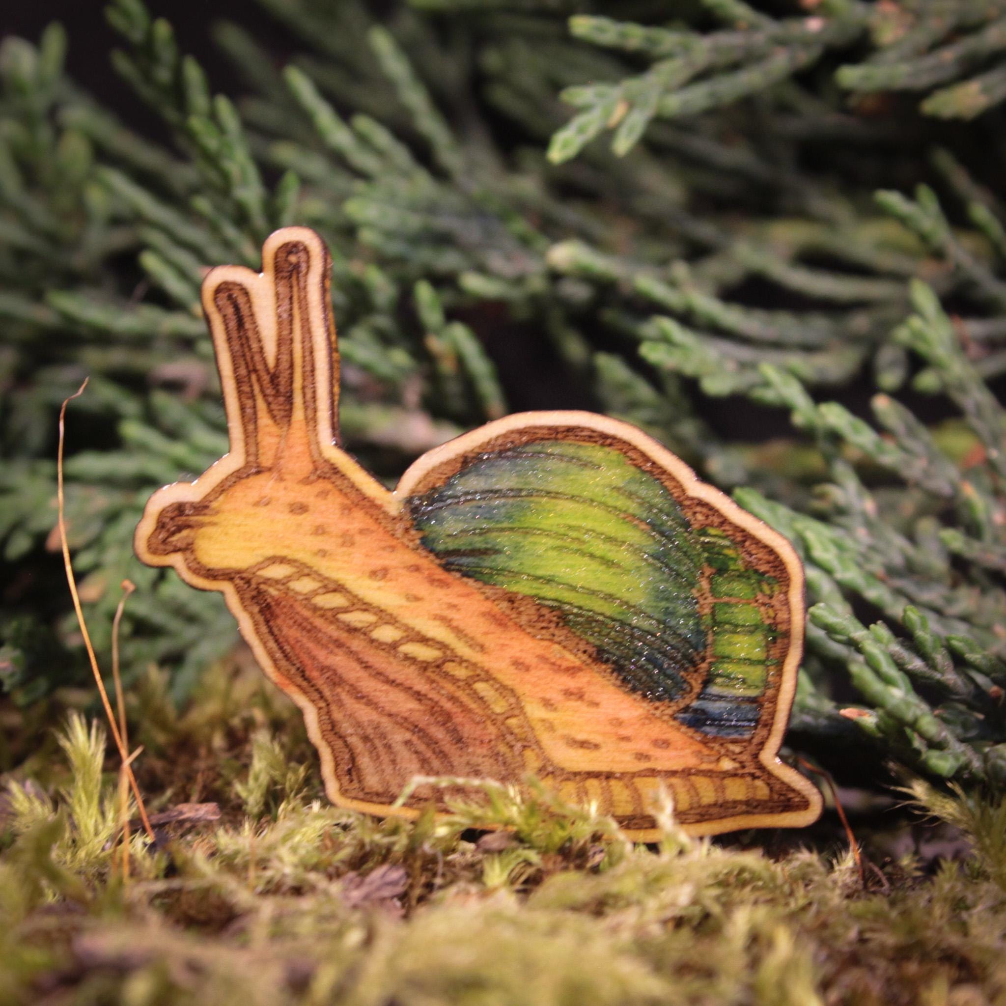 Snail Magnets Snail Hand Painted Mini Magnet Set - Etsy