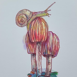 Snail Daze Print