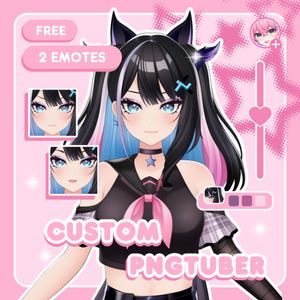 Custom Pngtuber | Pngtuber Character | Pngtuber Design | Pngtuber model | Live2d Commission | Live2d model | Pngtuber Avatar