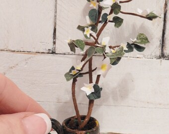 Miniatur-Blumenbaum