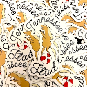 Billy Strings x Adventure Time Sticker