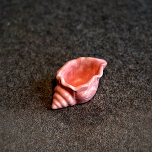 May include: A pink ceramic seashell planter, perfect for small succulents or air plants.