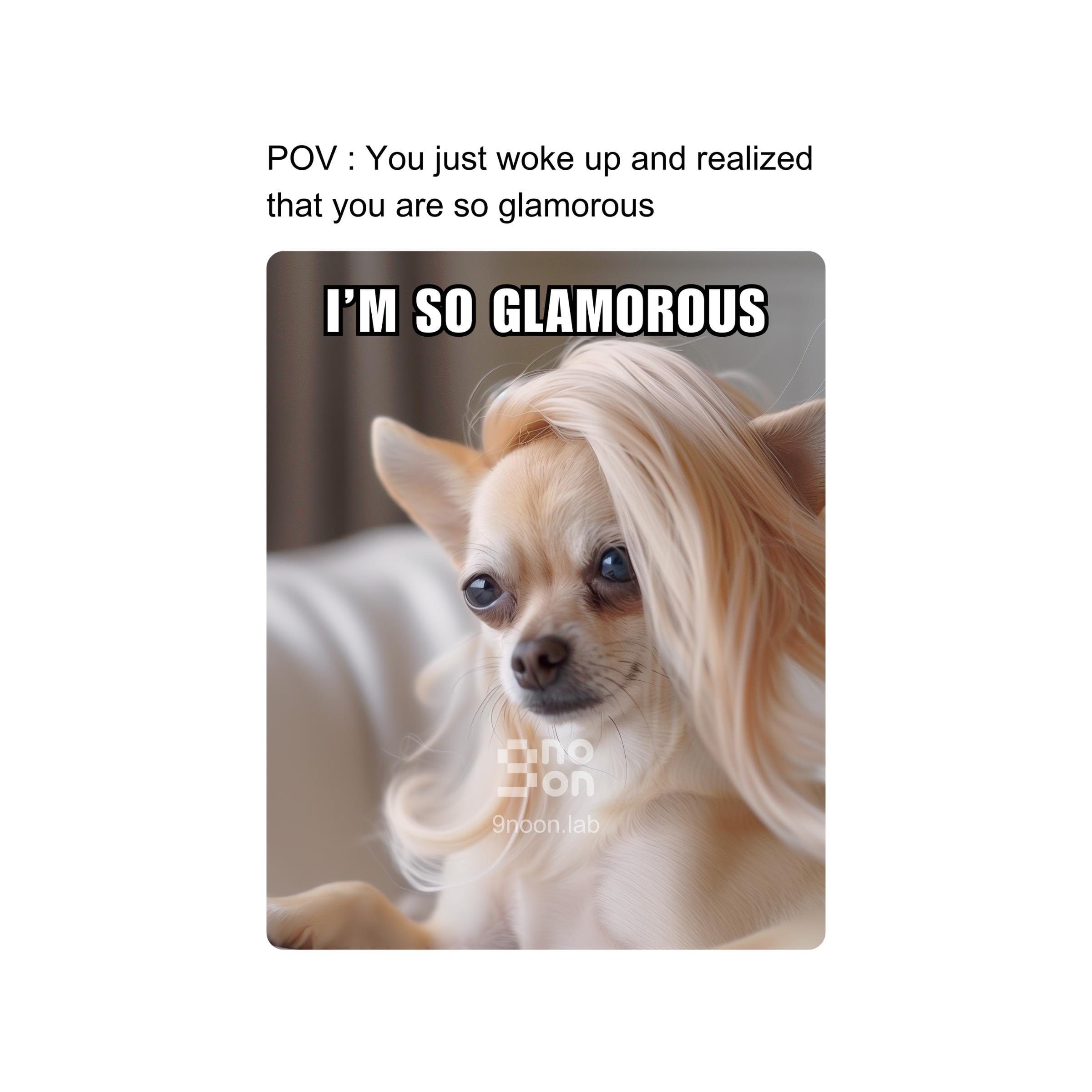 Dog meme tote España