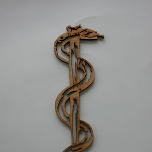 Staff of Asclepius Sign Wood Wall Art Sign Medical Sign