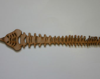 Human Spine Laser Cut Wood Sign Wall Art Medical Sign Human Anatomy