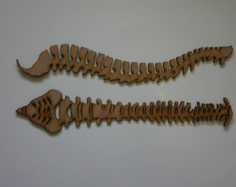 May include: Two wooden cutouts of a human spine, one longer than the other, on a white background.