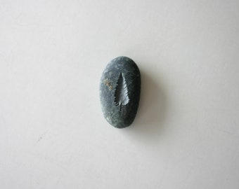木が刻まれた黒い石 生命の木 心配石