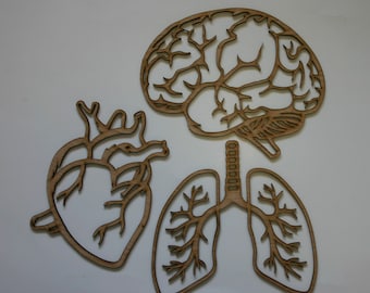 Anatomy Wall Art Brain Heart Lungs Wooden Anatomical Medical Sign