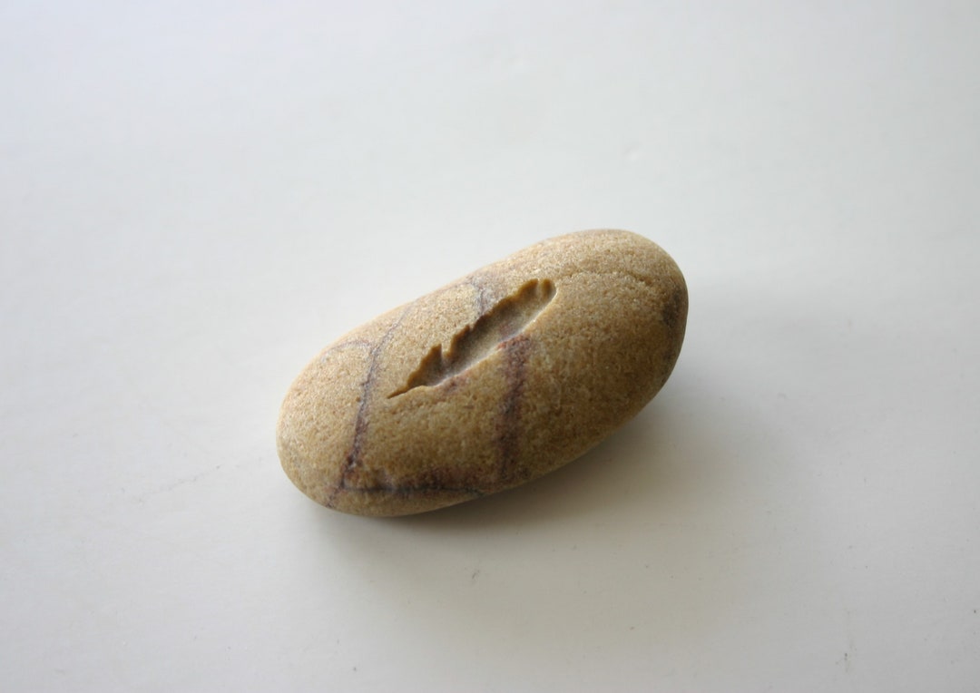 Feather Jersey - Stone main image 1