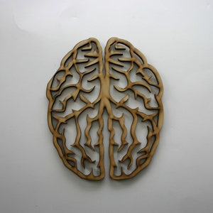 Anatomical Brain Laser Cut Wood Sign Wall Art Medical Sign