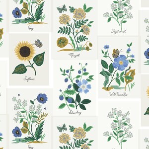 Pode incluir: Uma ilustração digital de uma coleção de flores com seus nomes escritos abaixo de cada imagem. As flores incluem um girassol, uma papoula, um cravo, não-me-esqueça, rosa selvagem da pradaria, morango e algumas outras flores.