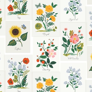 Cotton + Steel Pink Botanical Fabric quilting cotton, Rifle Paper Co Curio collection, Floral seed packets sewing fabric, 45&quot; wide