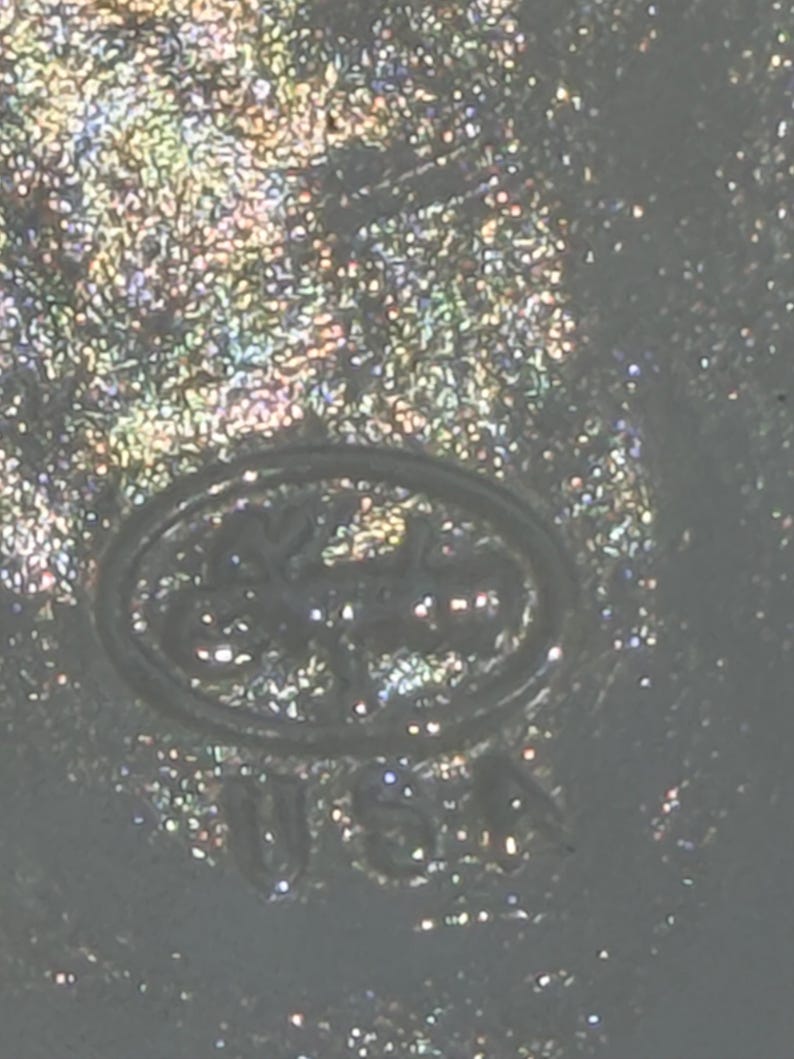 May include: Close-up of a shiny, iridescent surface with an oval-shaped emblem. The emblem features a floral design and the letters "USA" at the bottom. The surface has a glittery, textured appearance.