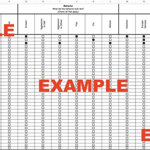 Op de afbeelding: Een wit spreadsheet met kolommen en rijen, met het woord "EXAMPLE" in het rood over de afbeelding. Het spreadsheet is ontworpen voor gegevensinvoer, met selectievakjes en velden voor het vastleggen van informatie.