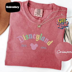 a pink t-shirt with a Disneyland logo, a necklace, and a gift tag, all placed on a white surface.