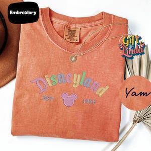 a pink t-shirt with the text "Disneyland EST. 1955" and a Mickey Mouse logo, along with a necklace and a palm frond.