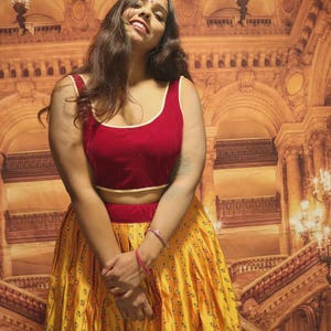 Handmade Silk Lehenga Skirt Set: Velvet Crop Top, Indian Ethnic Dress