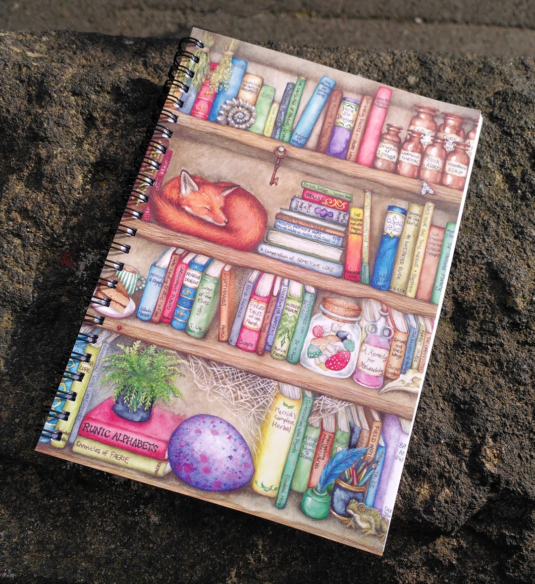 Bookcase Notebook With Sleeping Fox Detail Lined A5 Spiralbound Journal ...