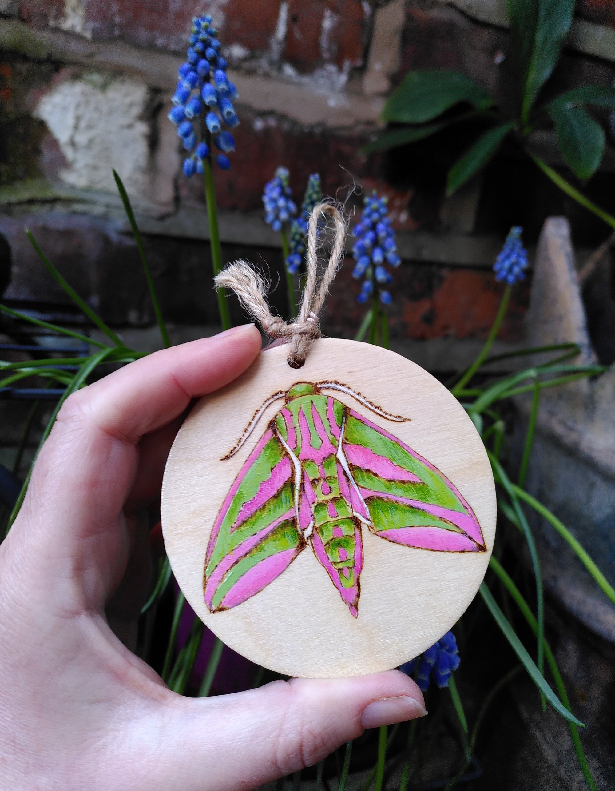 Elephant Hawk Moth Wall Art Ornament - Ready to Hang Painted Pyrography ...