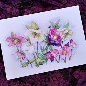 ヘレボルスのグリーティング カード - 水彩画の植物アート イラスト