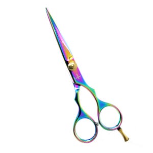 Ciseaux de coiffure en acier inoxydable, ciseaux de toilettage pour cheveux, multicolores 5,5 pouces avec repose-doigts, cadeau pour homme, femme, personnel de salon
