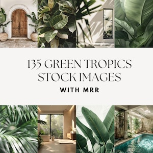Pacchetto di foto stock - 135 immagini estetiche di Green Tropics con diritti di rivendita master / MRR + PLR / Contenuti per social media sul benessere olistico