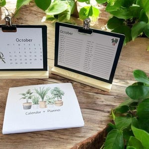 Indoor plant calendar + planner. Handmade watercolour 16 month calendar.