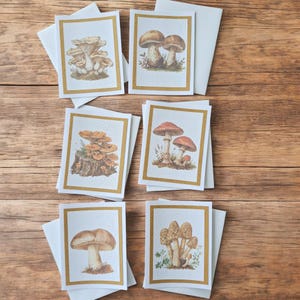 Mushroom cards. Blank card set.  Set of 6 handmade cards. Printed watercolour mushroom cards. gift idea. Whimsical, mycology blank cards.