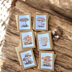 Mushroom card set.  Set of 6 handmade cards. Printed watercolour mushroom cards. gift idea. Writing set. Whimsical, mycology blank cards.