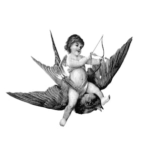 Vintage Cupid Riding Bird Illustration | Romantic Cherub Art Bow and Arrow | Whimsical Angelic Wall Decor for Valentine’s or Classic Style