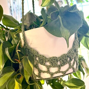 May include: A green crocheted plant hanger with a white ceramic pot and a green leafy plant hanging from it.