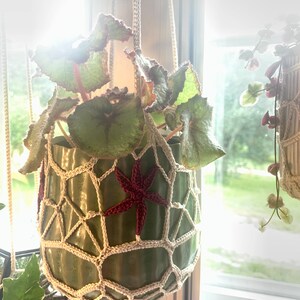 May include: A green plant in a crocheted hanging planter with a white cord and a red star design.