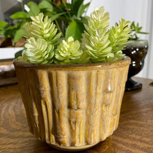 May include: A small, textured, yellow-brown ceramic planter filled with light green artificial succulents. The planter has vertical ridges and a rounded base. The background includes other plants and a dark brown decorative glass.