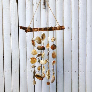 Seashell Wind Chime / Wall Hanging