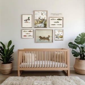 Watercolor fishing nursery art with ducks, mallard wall prints, bass and trout artwork for baby boy room, vintage-inspired fish illustrations, decorative fishing wall art for kids bedroom, playful fisherman theme decor, rustic nursery wall prints with freshwater fish, cozy boys room wall accents, charming angler artwork for children’s room, unique baby shower gift for fishing families