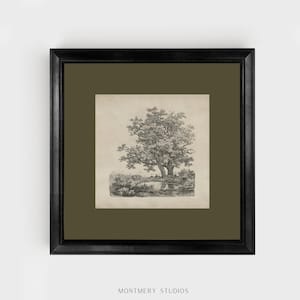 Antique tree etching, vintage forest landscape, square printable wall art with sage green mat, 19th century Dutch drawing, old oak trees by a lake, dark green nature sketch, classical tree illustration, rustic woodland decor, forest art print download, vintage-style landscape for gallery wall, Remigius Adrianus Haanen artwork, detailed tree line drawing, printable antique artwork for home decor